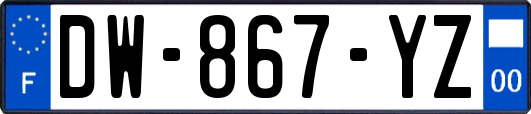 DW-867-YZ