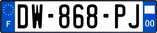 DW-868-PJ