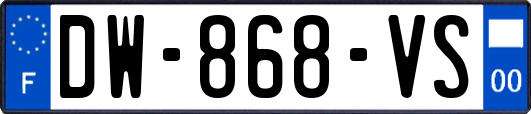 DW-868-VS