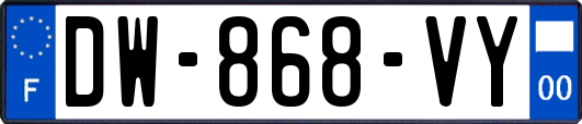 DW-868-VY