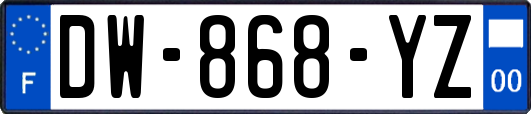 DW-868-YZ