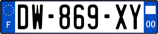 DW-869-XY