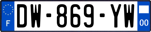 DW-869-YW