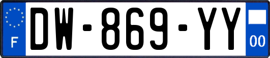 DW-869-YY