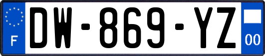 DW-869-YZ