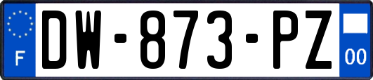 DW-873-PZ