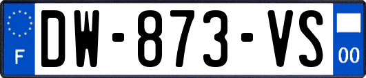 DW-873-VS