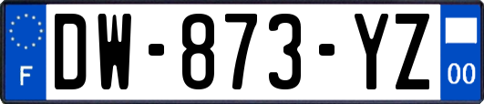 DW-873-YZ