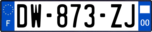 DW-873-ZJ