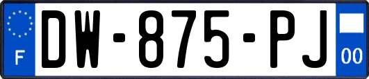 DW-875-PJ