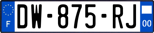 DW-875-RJ