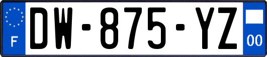 DW-875-YZ