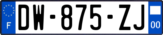 DW-875-ZJ