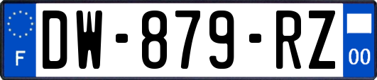 DW-879-RZ