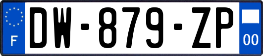 DW-879-ZP