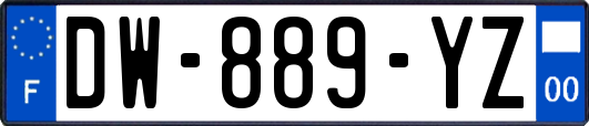 DW-889-YZ