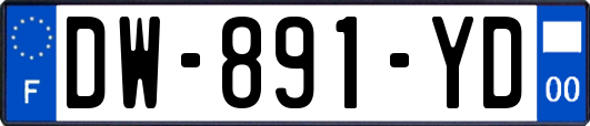 DW-891-YD