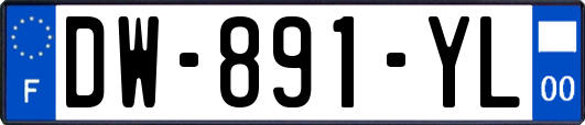 DW-891-YL