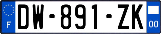 DW-891-ZK