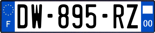 DW-895-RZ