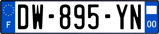 DW-895-YN