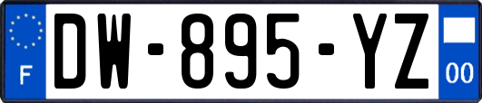 DW-895-YZ