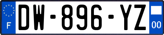 DW-896-YZ