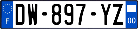 DW-897-YZ