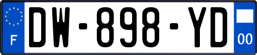 DW-898-YD