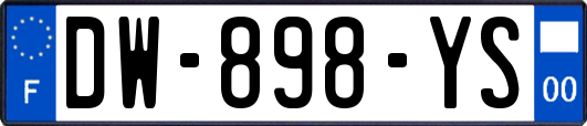 DW-898-YS