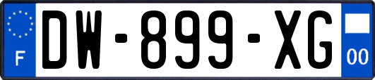 DW-899-XG