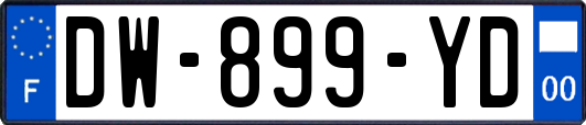 DW-899-YD