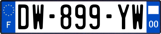 DW-899-YW