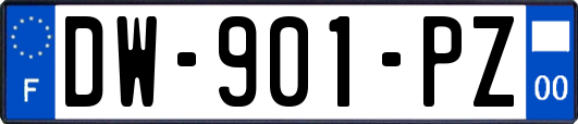 DW-901-PZ