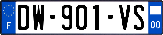 DW-901-VS