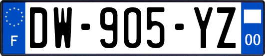 DW-905-YZ