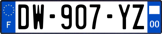 DW-907-YZ