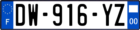 DW-916-YZ