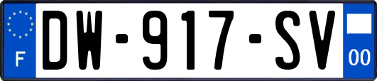 DW-917-SV