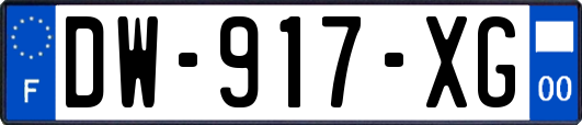 DW-917-XG