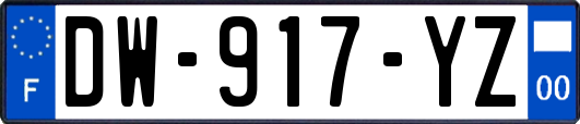 DW-917-YZ