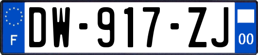 DW-917-ZJ