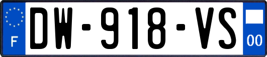 DW-918-VS