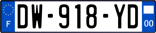 DW-918-YD