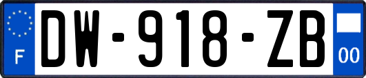 DW-918-ZB