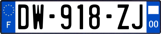 DW-918-ZJ