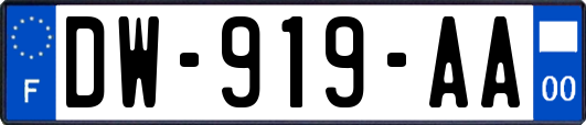 DW-919-AA