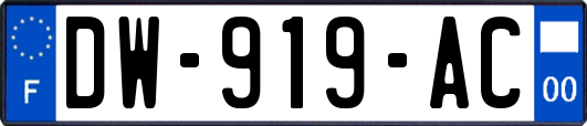 DW-919-AC