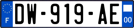 DW-919-AE