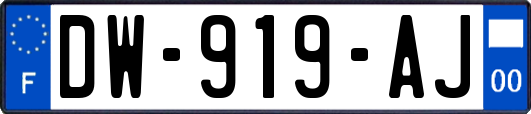 DW-919-AJ